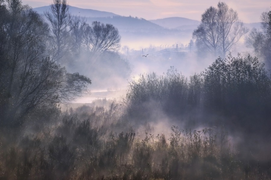 Varm Forest Mist bergslandskap tapet för vardagsrum - bild nummer 2