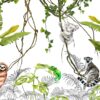 Fototapeta z egzotycznym krajobrazem w delikatnej tonacji z przewagą bieli Lemur Na Lianie - zdjęcie numer 2