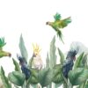 Fototapet i exotiskt grönt och grått Green Parrots - bild nummer 2