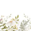 Ljus tonad väggmålning med delikat botaniskt motiv Kamomillblomma - bild nummer 2