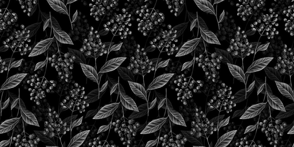 Fototapeta-Czarne-Jagody_1790919944-1
