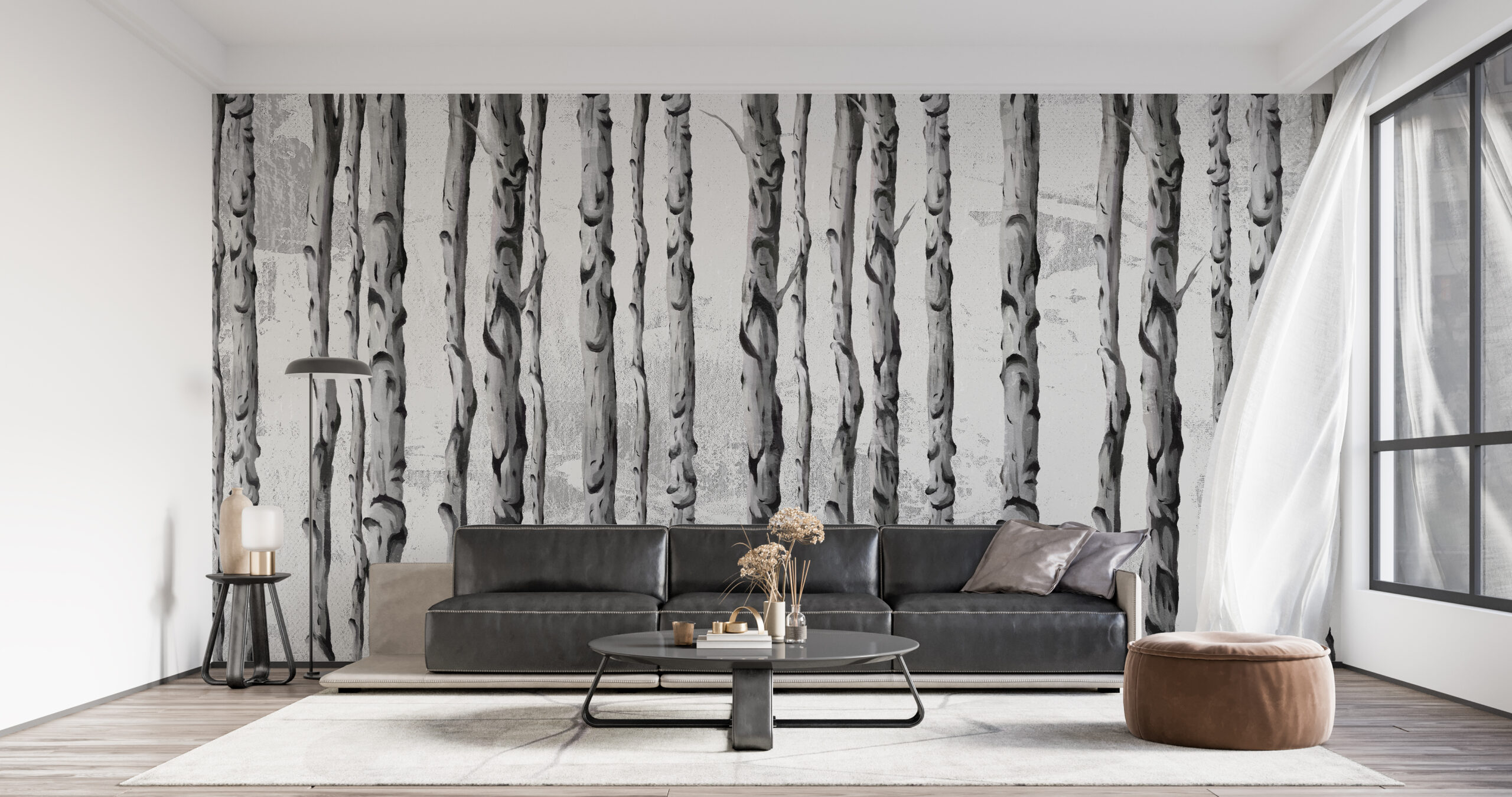 Fototapet Row of Birch Trunks