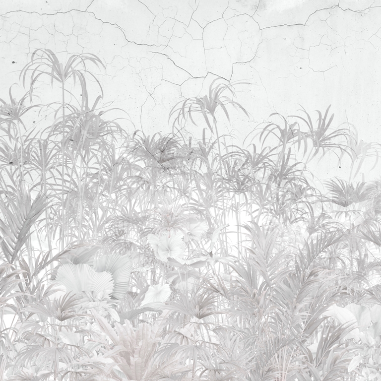 Fototapeta-Szare-Rosliny-Na-Scianie_2243296695-1