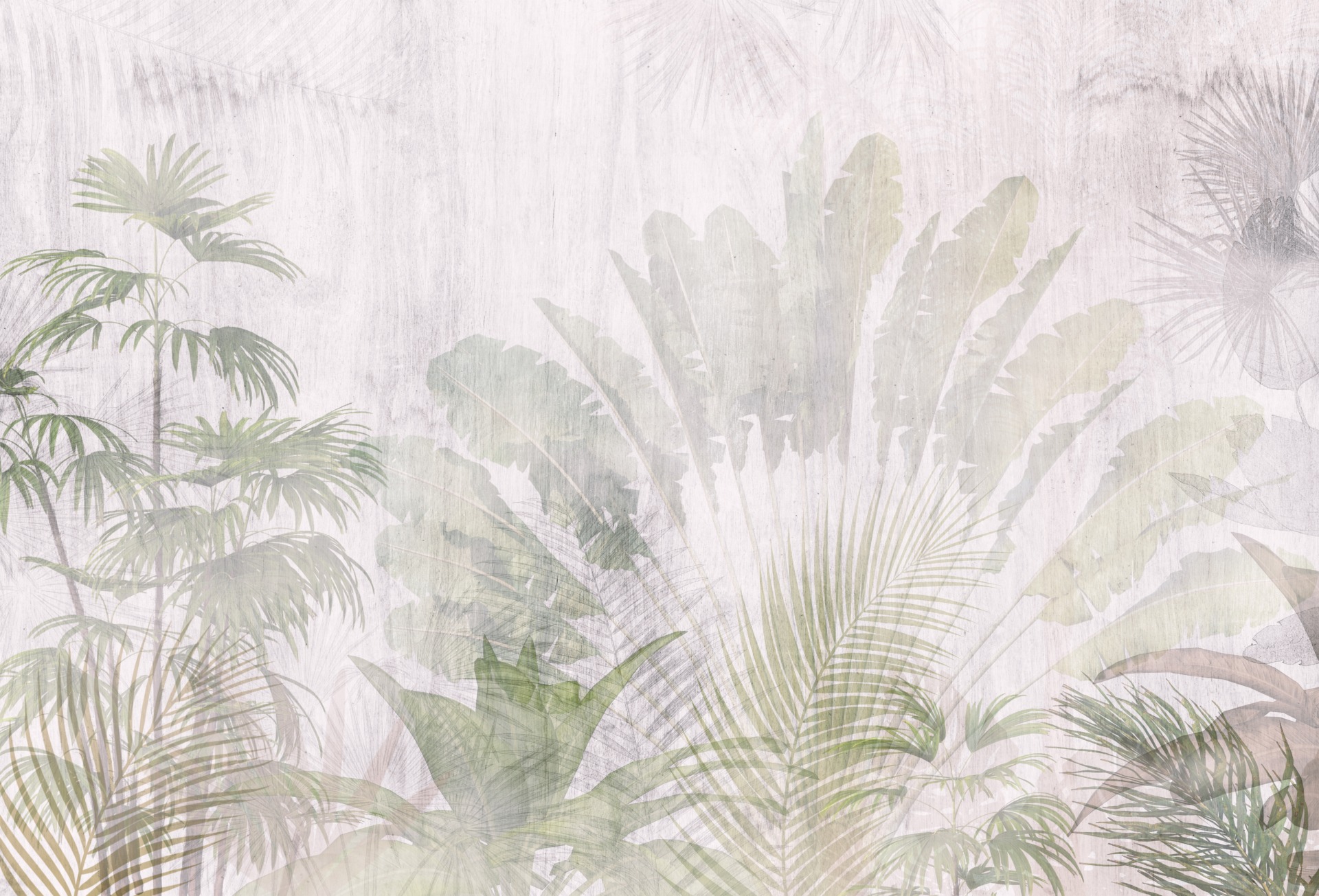 Fototapeta-Wachlarz-w-Bieli_2203091373-2