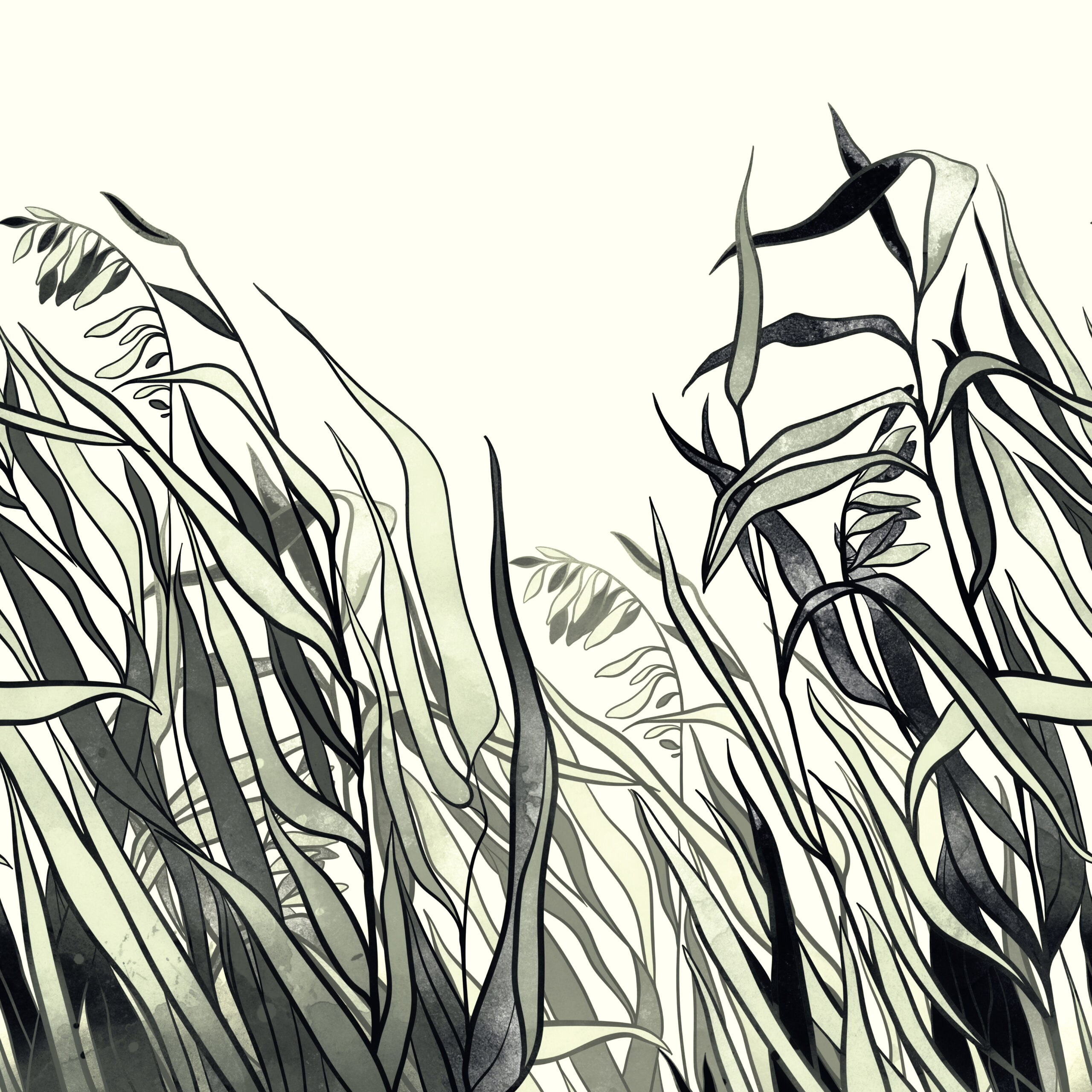 River,Grass,In,The,Wind,Border.,Digital,Lines,Hand,Drawn