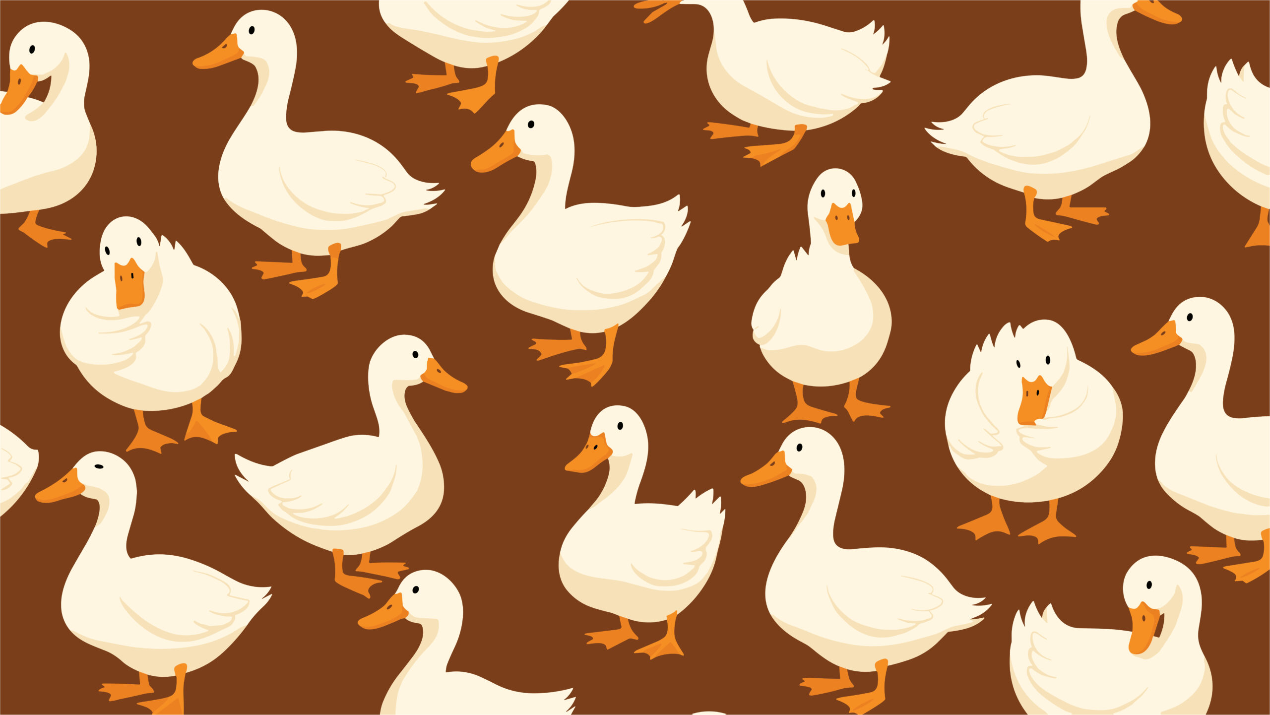 2729165249-scaled-1