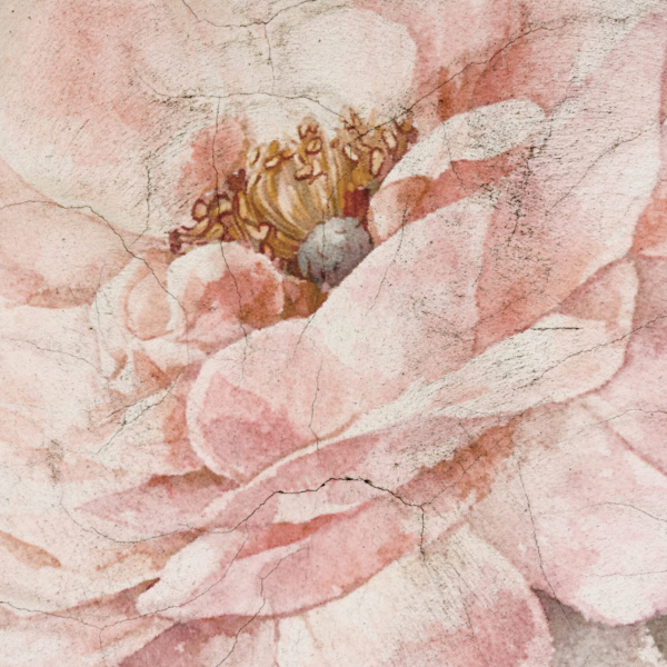 Fototapet Blomma i tidens sprickor