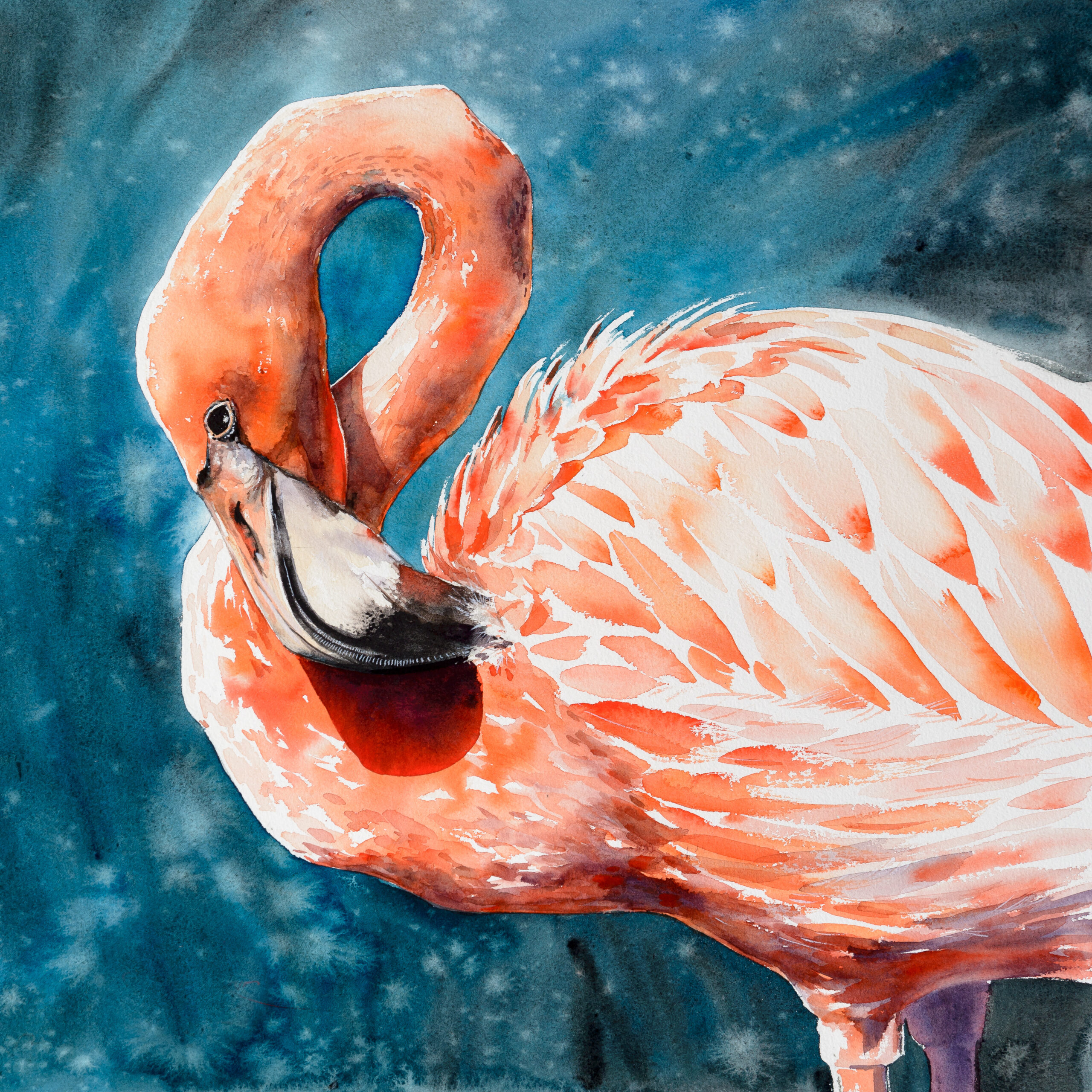 Pink flamingo. Tropical exotic bird rose flamingo portrait on blue background. Watercolor hand drawn illustration.