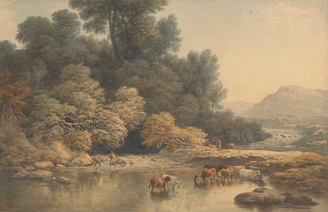 Pastoral,Scene,With,Cows,In,A,River,,Surrounded,By,Lush